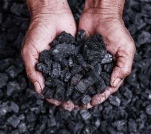 Coal Trading